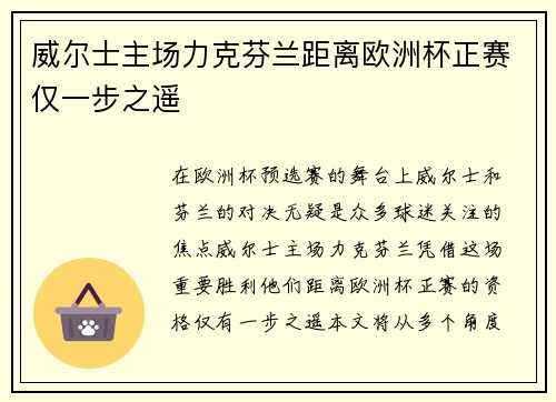 威尔士主场力克芬兰距离欧洲杯正赛仅一步之遥 威尔士主场力克芬兰距离欧洲杯正赛仅一步之遥